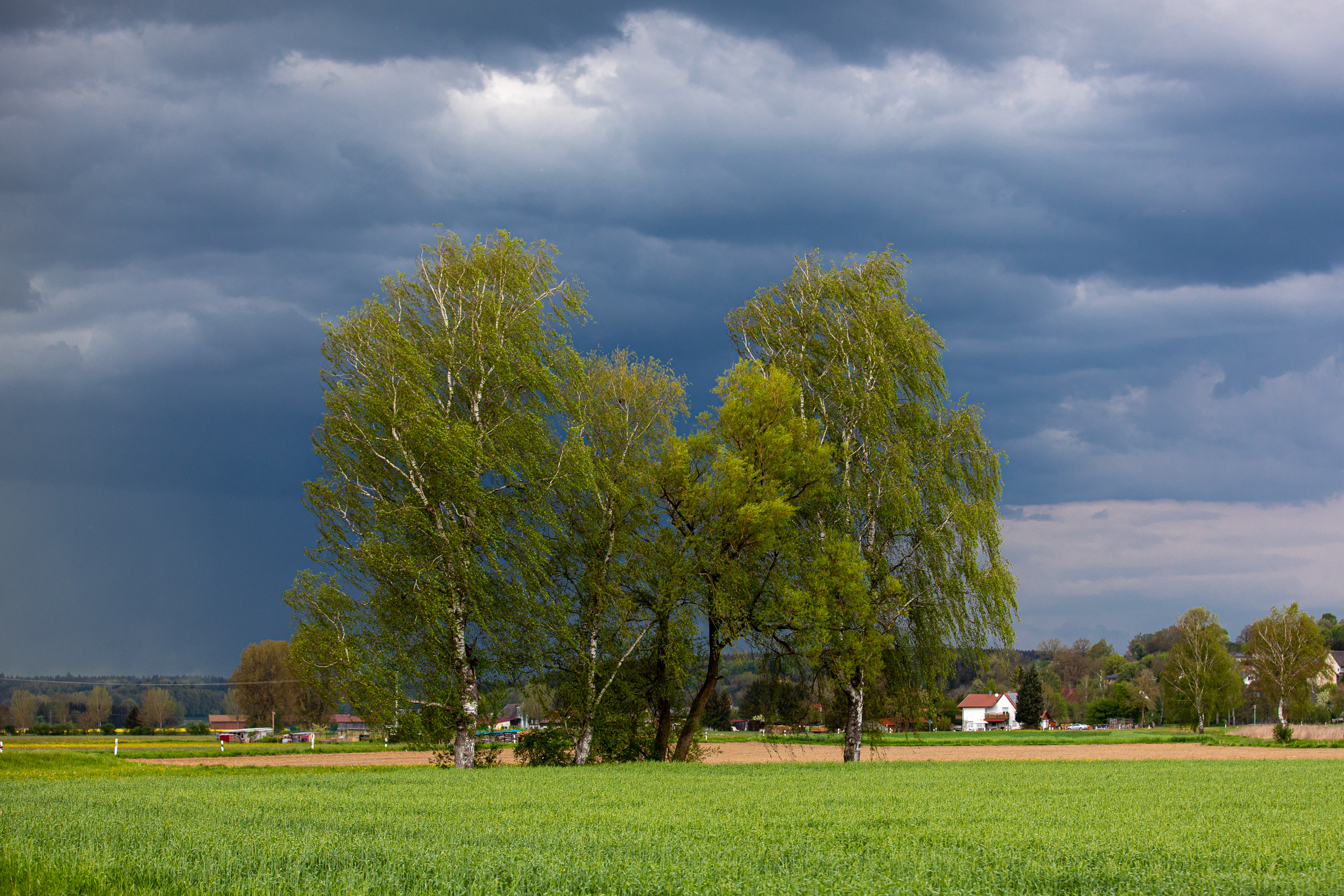 20230507154736 RD4 4033